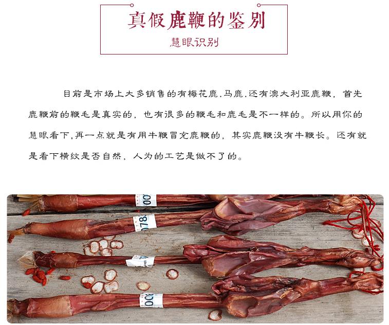 梅花鹿的鞭如何分真假,鲜梅花鹿的鞭如何分真假