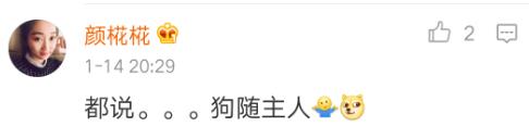 陈赫综艺节目中的狗,陈赫晒萌宠照片狗狗名字太霸气