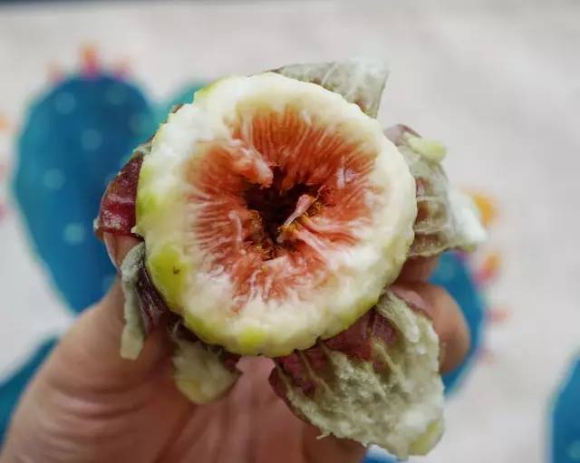 浜彈姘存灉鐢樼敎,浜彈鏃犺姳鏋滃甫鏉ョ殑鐢滆湝