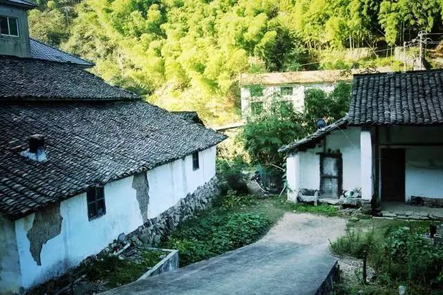 从不羡慕北上广的生活,上海人眼中的湖州