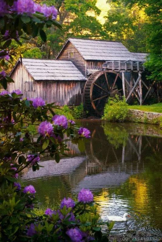 古诗最美田园诗,诗词美句