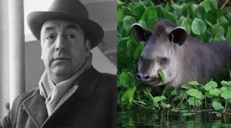 聂鲁达说,没有玩具我就没法活!那么,来看看大诗人怎么活的吧