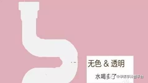 看尿液颜色判断身体有多少水,通过尿液颜色也能辨健康