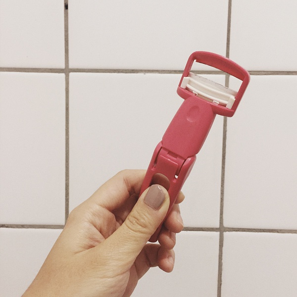 璞嗙摚鏃ヨ澶у叏,璞嗙摚鏃ヨ妞嶇墿