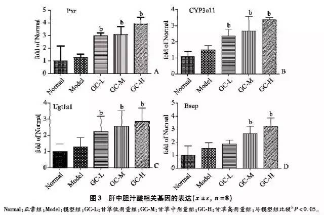 甘草水煎液对-萘异硫氰酸酯诱导的肝内胆汁淤积性损伤的防治及其机理研究