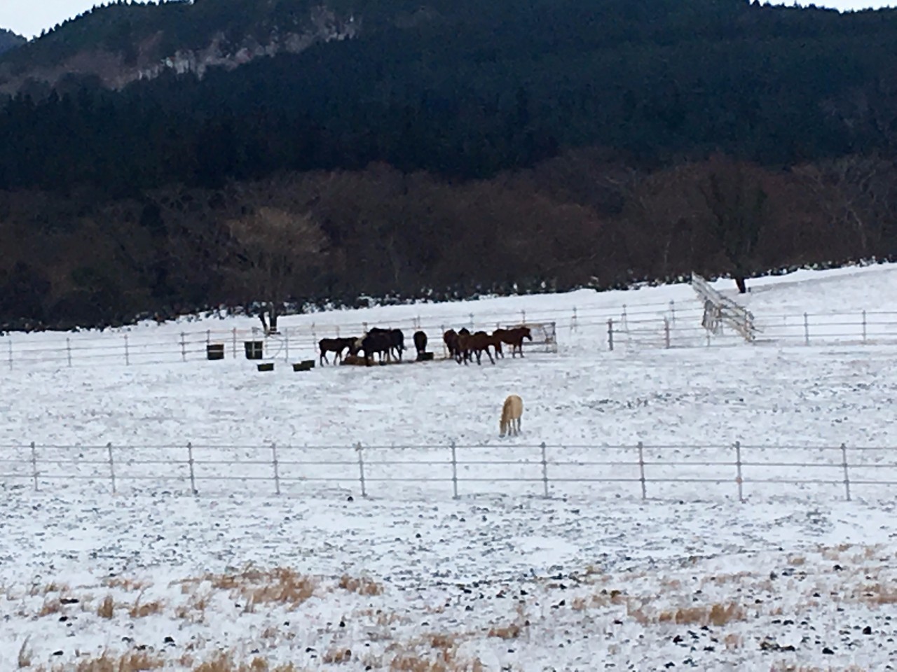 网红景点与网红店，就是济州岛正确的打开方式｜攻略