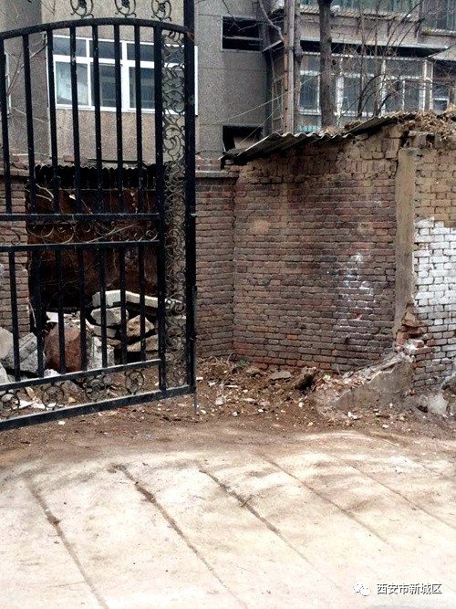 院长大搞翻新改造工程,院长翻天覆地的生活