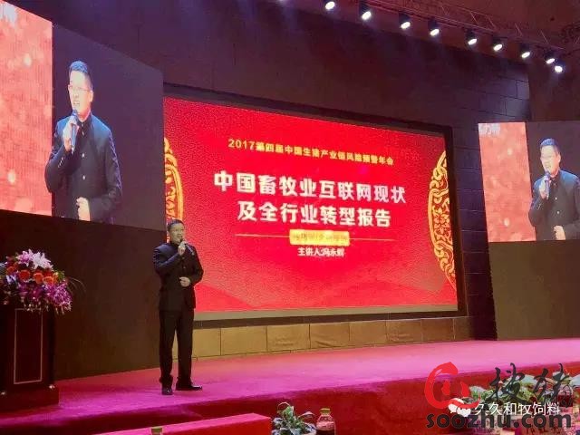 初闻沈念,初闻林夕