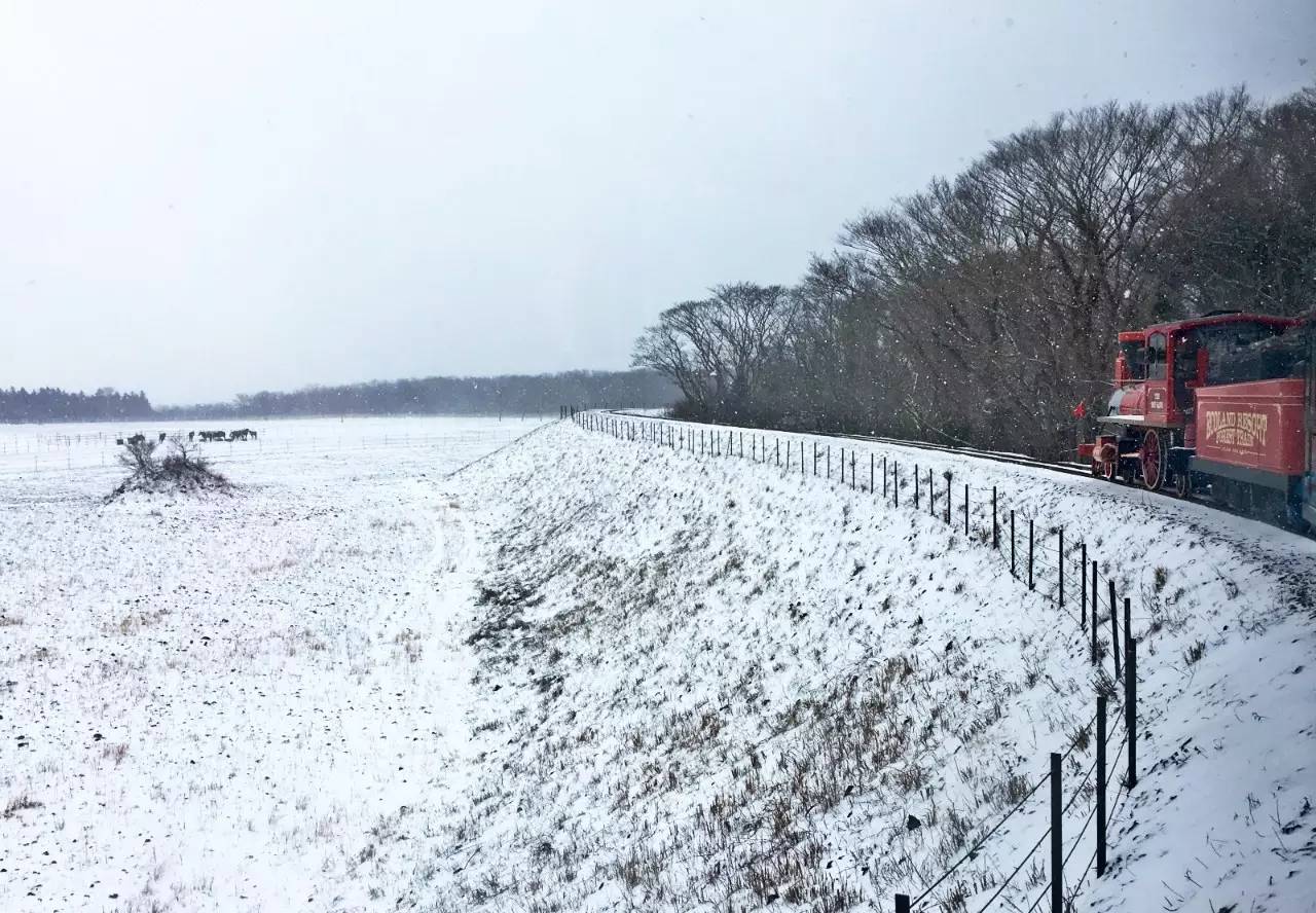 网红景点与网红店，就是济州岛正确的打开方式｜攻略