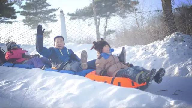 哈尔滨冬天免费玩雪的地方,哈尔滨冰雪旅游春节