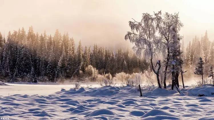 最新喀纳斯禾木视频,新疆喀纳斯禾木冬天视频