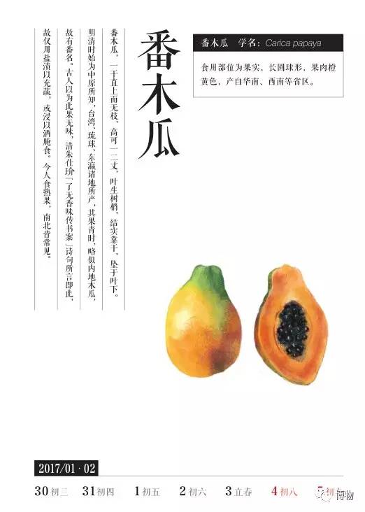 假木瓜可以吃吗,每天一个新鲜熟木瓜吃了好吗