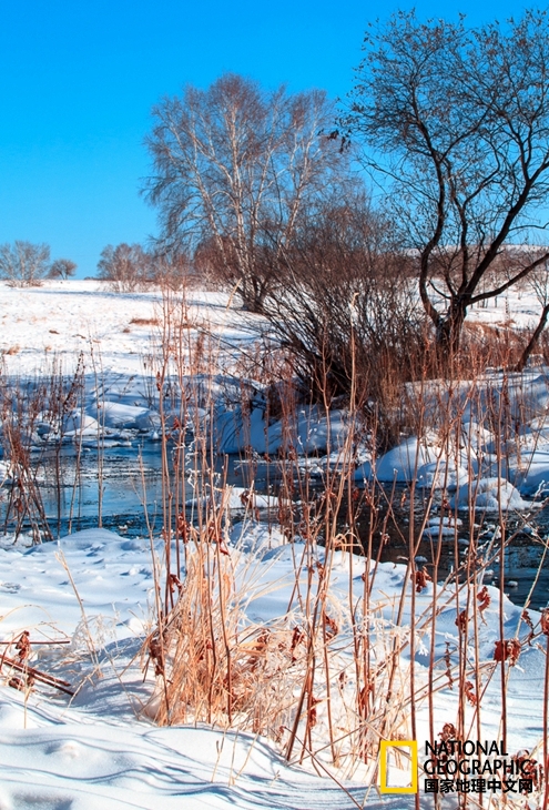 趁冬天还没有来临之前去一趟,一起到坝上去看雪