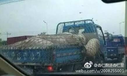 太搞笑了图片带字,非常搞笑的相册