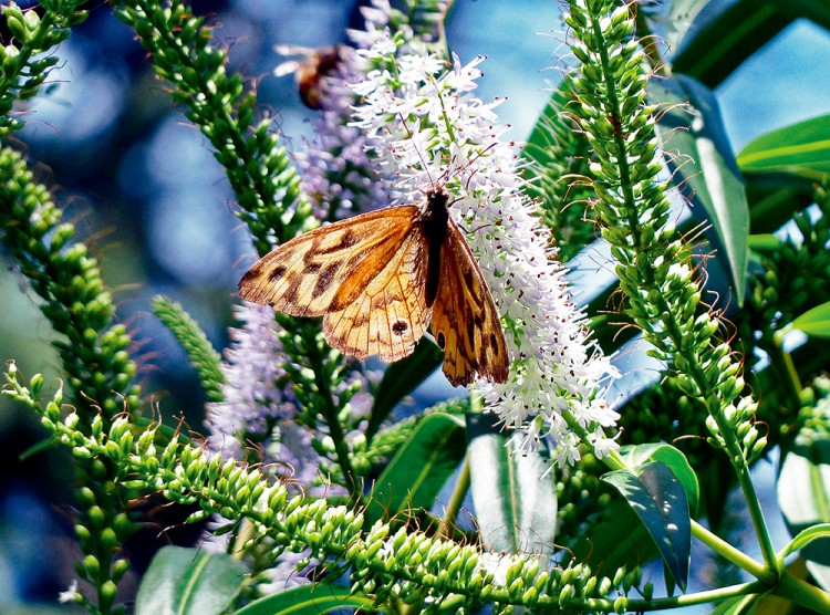 西双版纳从下飞机开始的攻略,进入西双版纳的视频