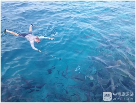 马尔代夫吉哈德岛（KIHAAD）旅游攻略