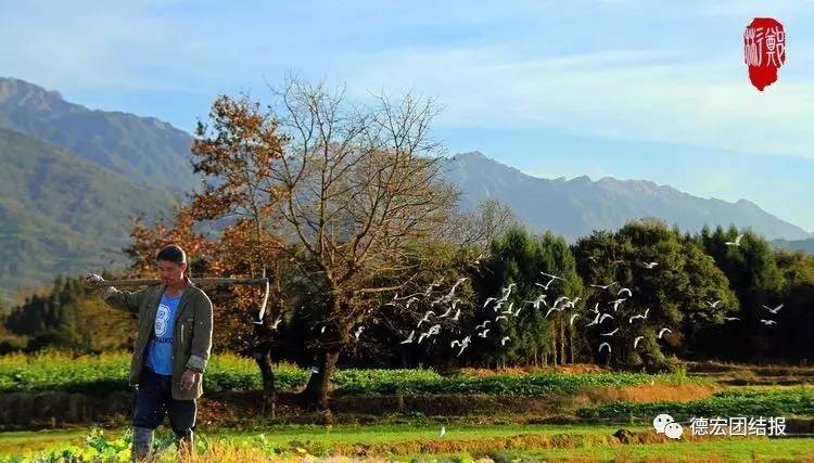 看完这些才知道，日本竟然没有德宏好