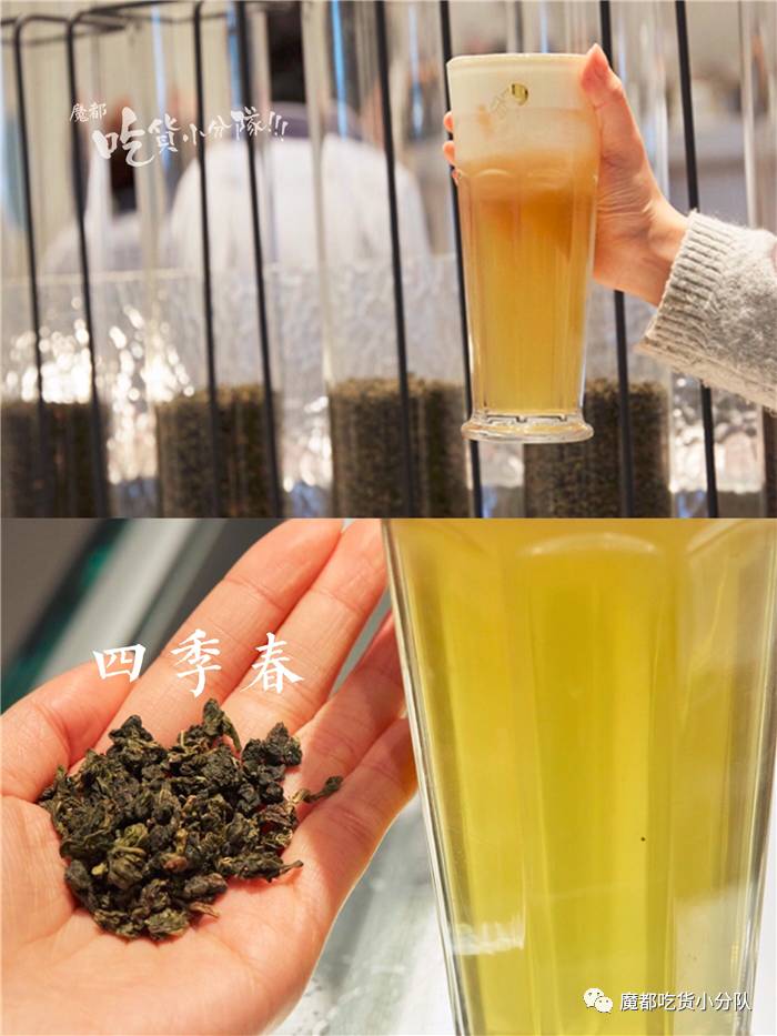 芝士茶界的扛把子，终于终于来魔都了！