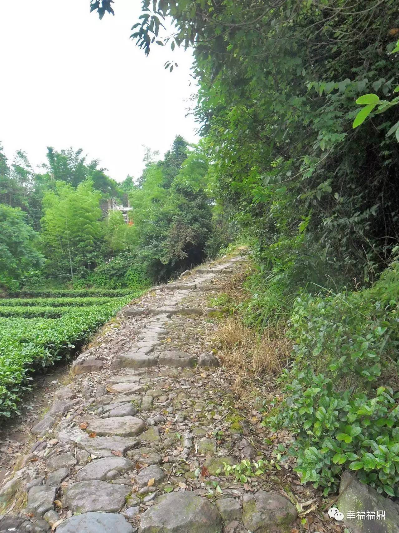 「玩转乡镇」别样山前，让我想想你原来的样子……