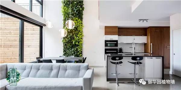室内植物墙优缺点,摆放型植物墙设计步骤