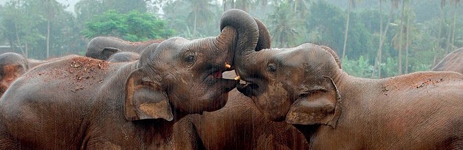 西双版纳3小时可以去哪,西双版纳五小时