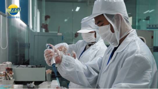 福建宁德市三都大黄鱼,宁德三都港大黄鱼