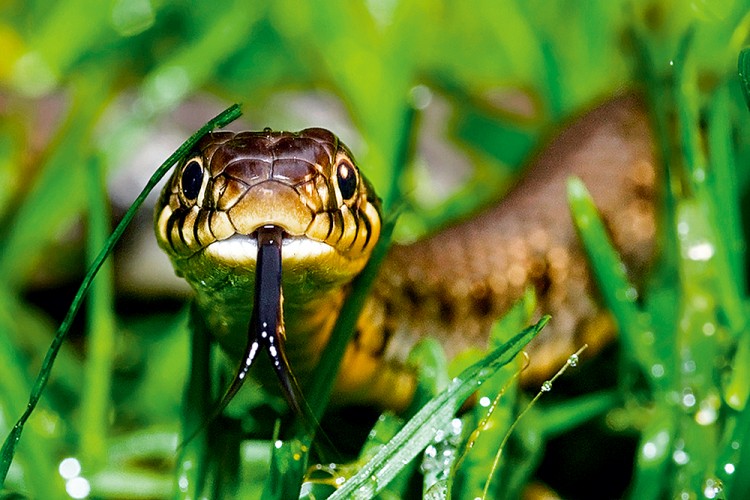 西双版纳3小时可以去哪,西双版纳五小时