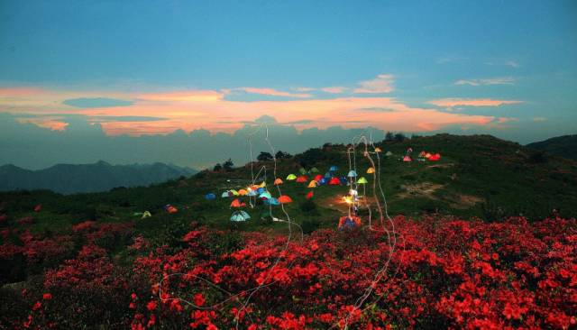 浙江小众乡村景点,江浙沪风景好的山野居住地
