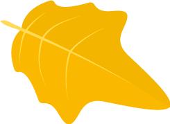 风湿病泡温泉后出汗好不好,风湿病泡温泉有效果吗