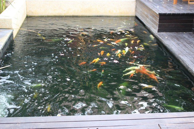 泰国曼谷芭提雅华欣7天自由行 (泰国华欣与芭提雅是一个地方吗)