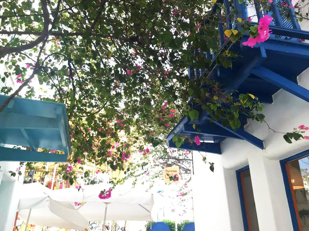 泰国曼谷芭提雅华欣7天自由行 (泰国华欣与芭提雅是一个地方吗)