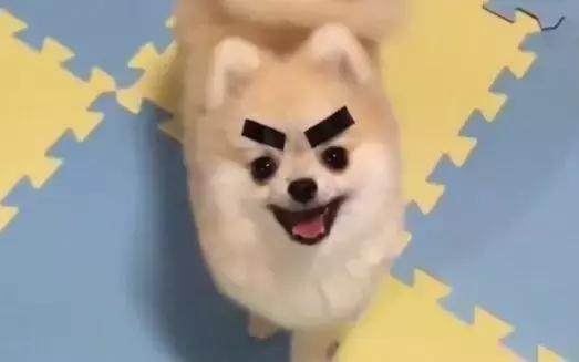 小学生幽默100个字造句,搞笑造句小学生