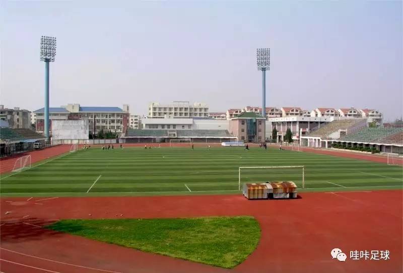 你所不知道的薇尔莉特,最有希望的女子足球队