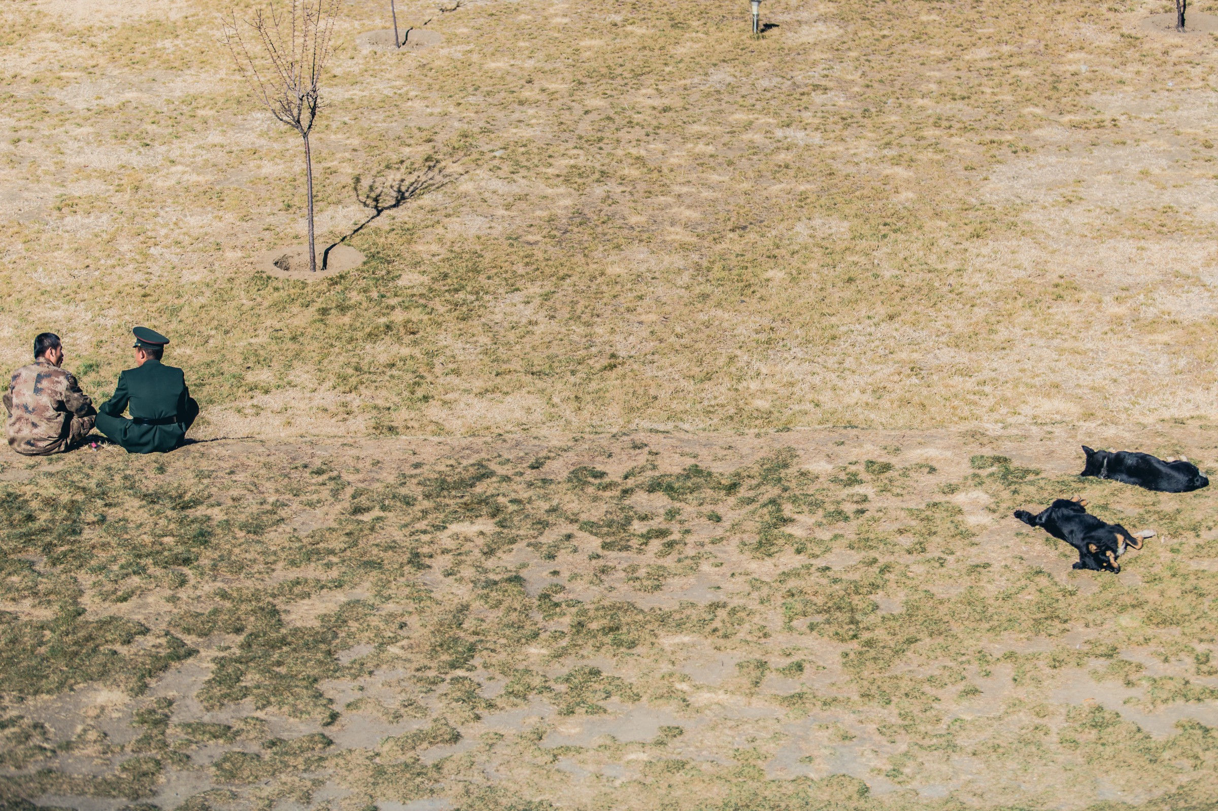 阿里边防军人感人完整视频,边防战士的感人事迹简短80字