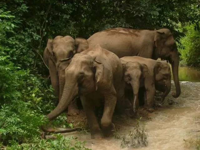 干货分享必读,干货探索与分享