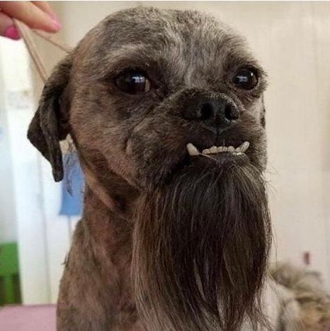 为什么不能轻易拉黑一个人,动不动就拉黑一个人意味着什么