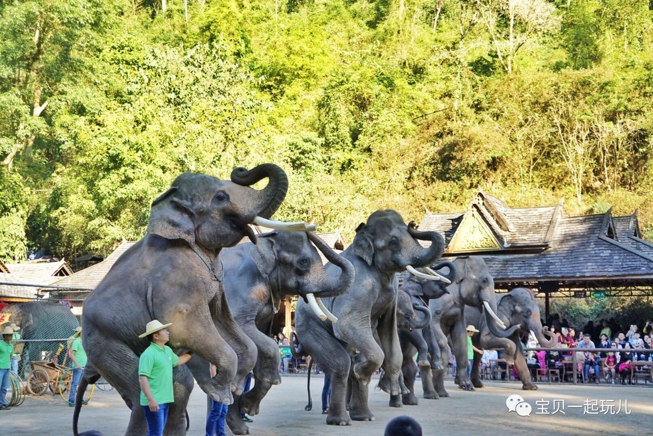 老娘的青春那么短，花点钱开心又何妨