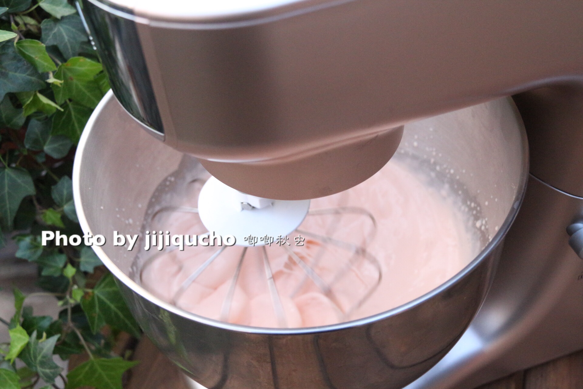 不要买的厨师机,国产厨师机比较