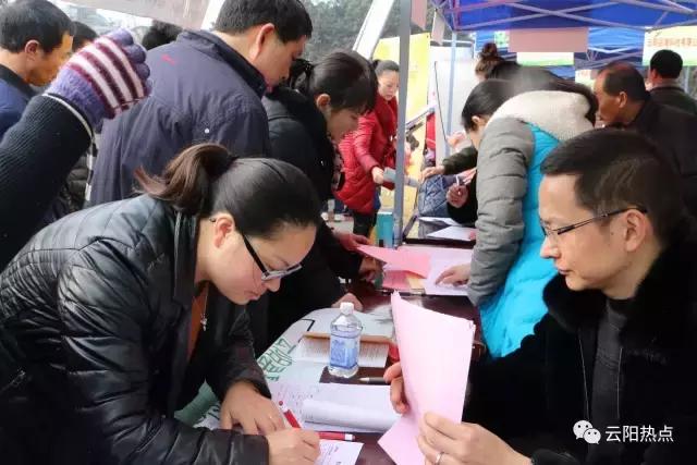 云阳公益性岗位招聘,云阳县2024年人才引进