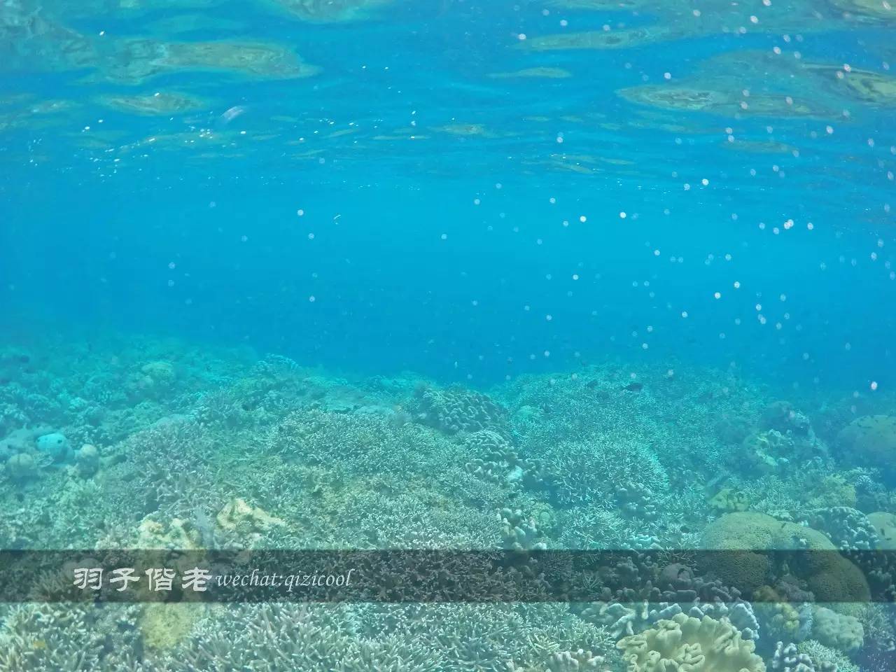 美娜多海岛一日游,印尼美娜多跟团游