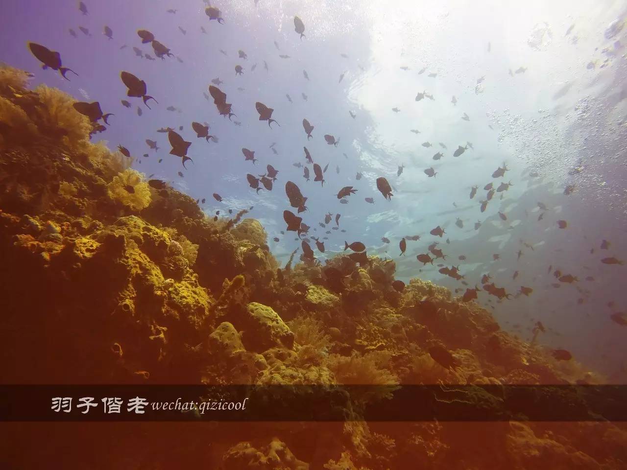 美娜多海岛一日游,印尼美娜多跟团游