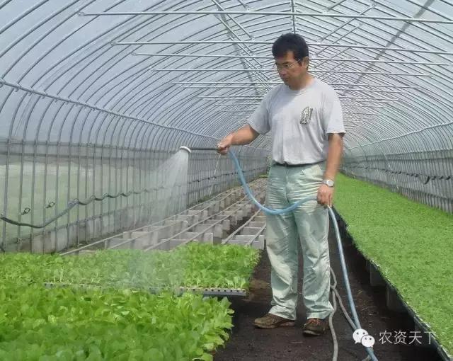 日本:一家一户的小农化也能实现机械化