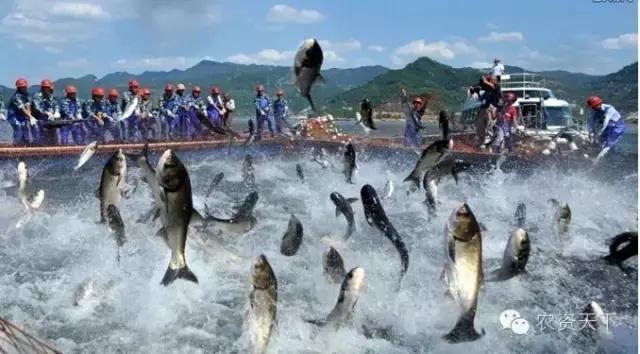 日本:一家一户的小农化也能实现机械化