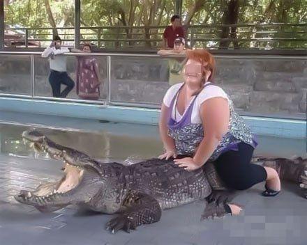 30秒抓鸽子,八个神器抓鸽子