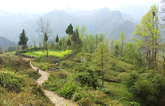 贵州原始古寨景点,贵州清静的古寨
