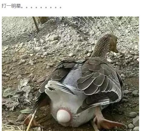 怎么对付爱发脾气的女孩子,怎么对付爱斗嘴的女生