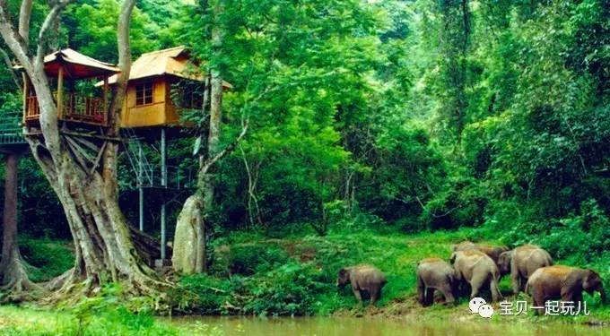 老娘的青春那么短，花点钱开心又何妨