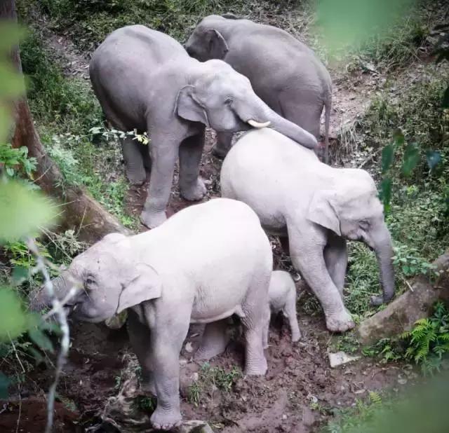 干货分享必读,干货探索与分享