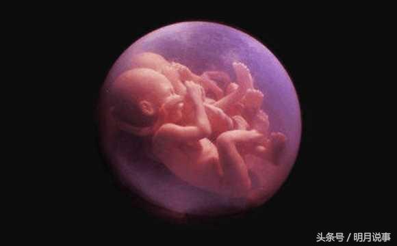 怀双胞胎五个月,怀双胞胎5个半月母体舒服吗