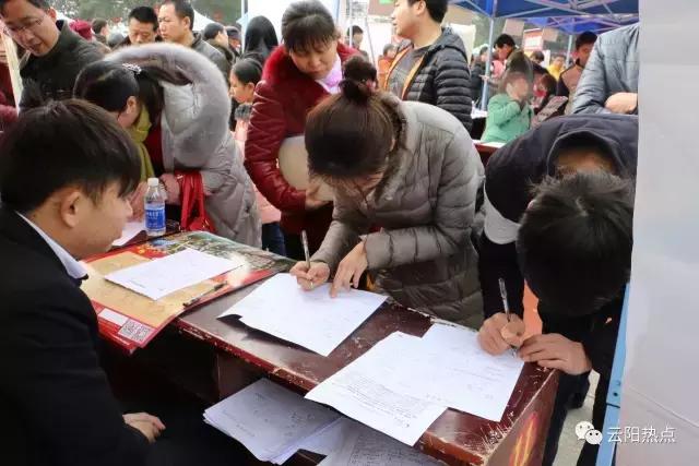 云阳公益性岗位招聘,云阳县2024年人才引进